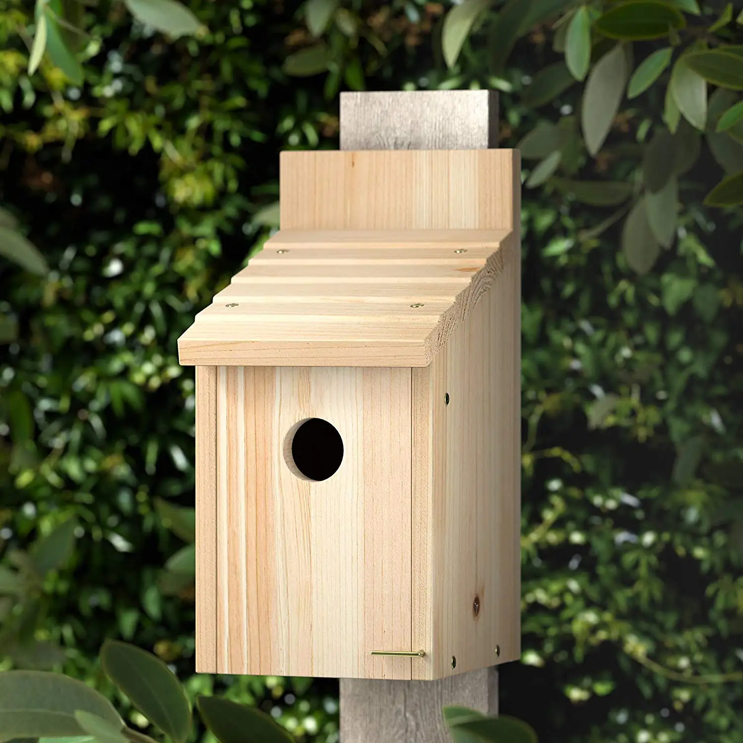 Mini Natural Pine Wood Bird House With Metal Roof Buy Natural Wood