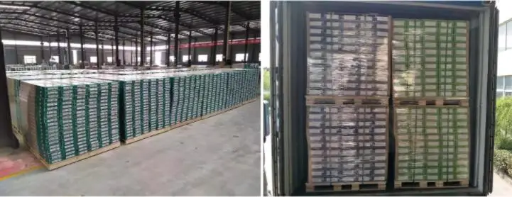 Eco-Friendly Waterproof Indoor SPC Flooring Vinyl Plank RVP Rigid Vinyl Plank with Click Lock