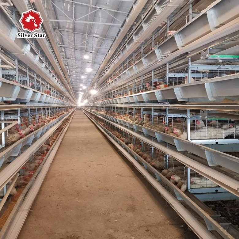 Full Automatic 3-8 Tier Poultry H Type Battery Cage for Layers