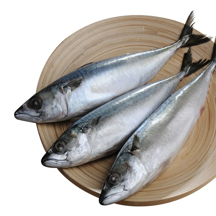 
Sea Frozen Light Purse Seine pacific mackerel 