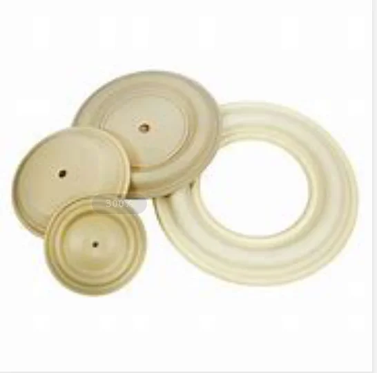 PTFE pump diaphragm4.png