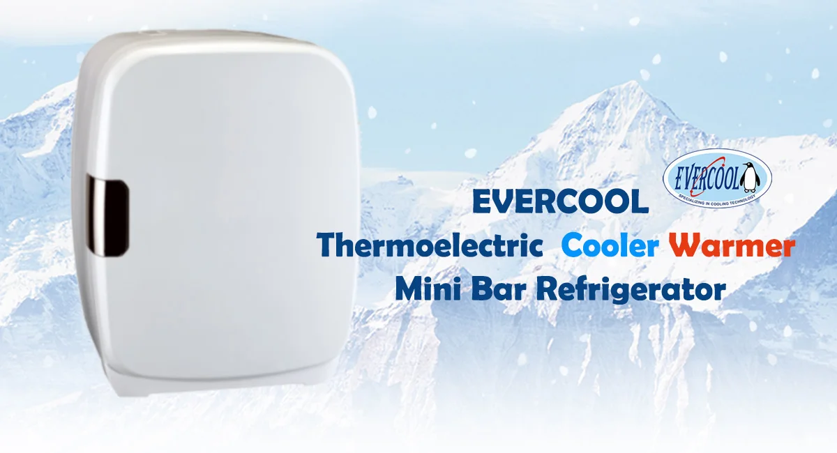 mini fridge 0214a.jpg
