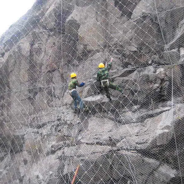 Flexible Slope Protection Wire Mesh Buy Flexible Slope Protection