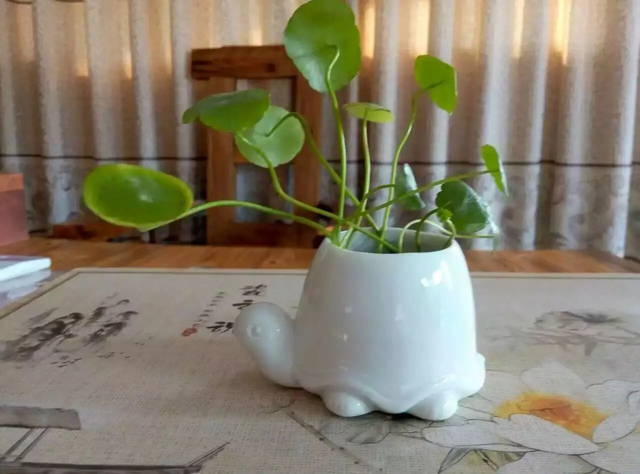 DC4B34F7-AD2E-4571-9E37-F65252B90147