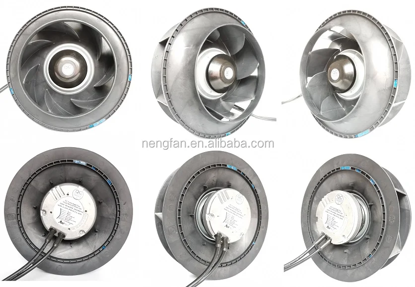 IMG_20200417_144455 - .jpg