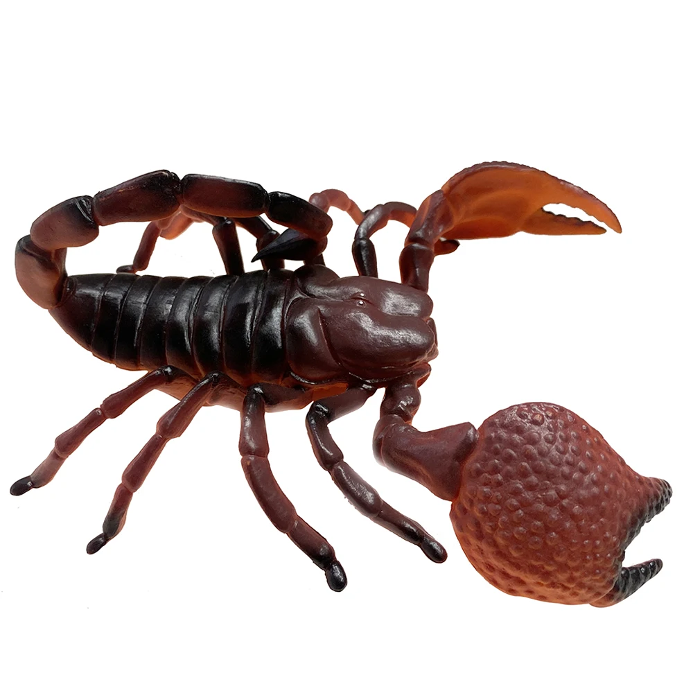 Simulation 8 Inches Insect Model Plastic Hollow Scorpion Toy For ...