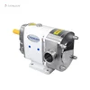 DONJOY sanitary stainless steel Rotary Lobe Cam Pump for honey and food
