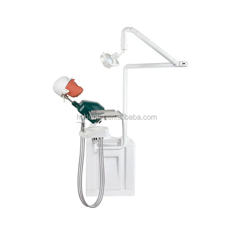dental model