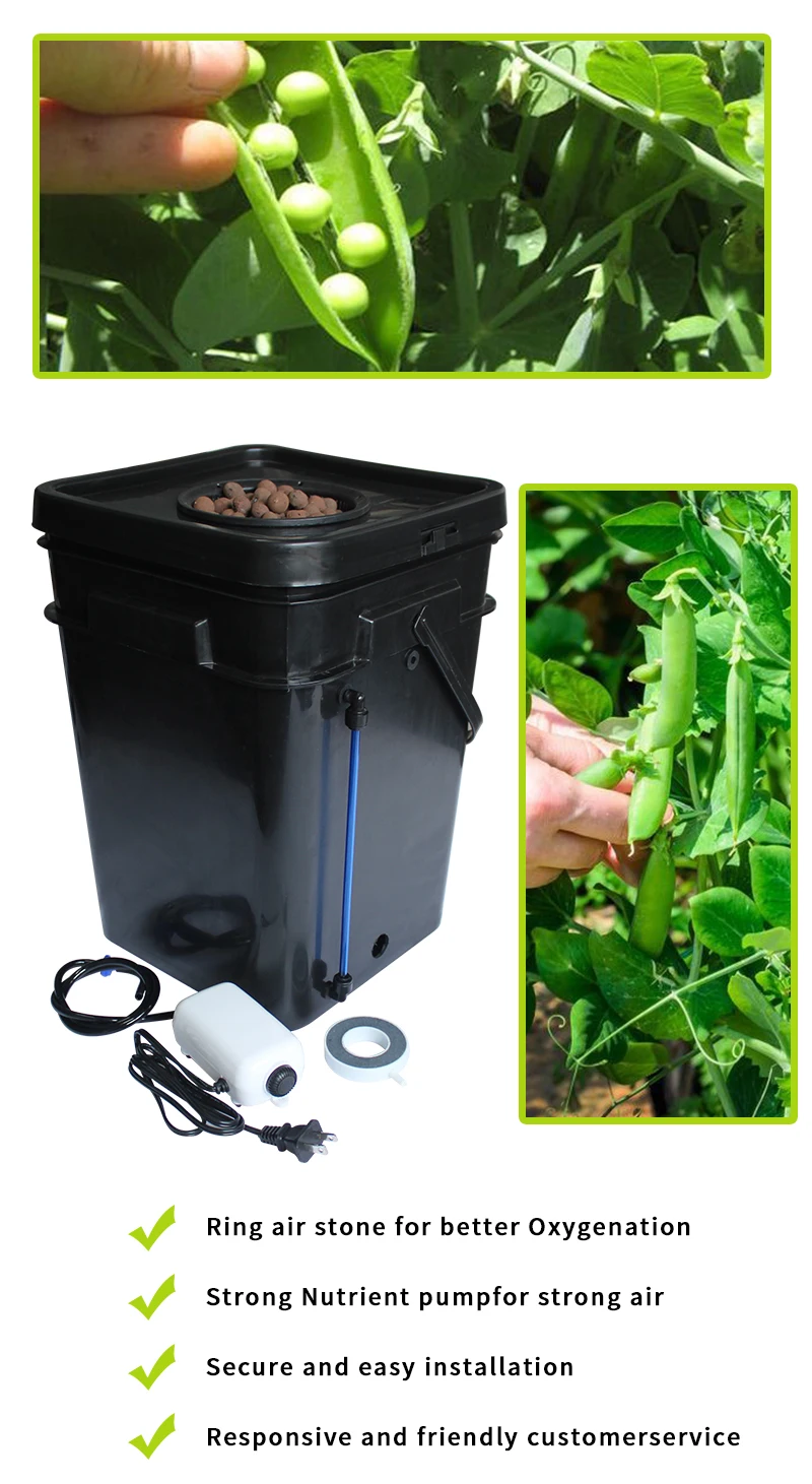 Full Complete 15l/20l Square Pot Dwc Hydroponic System Single Clone