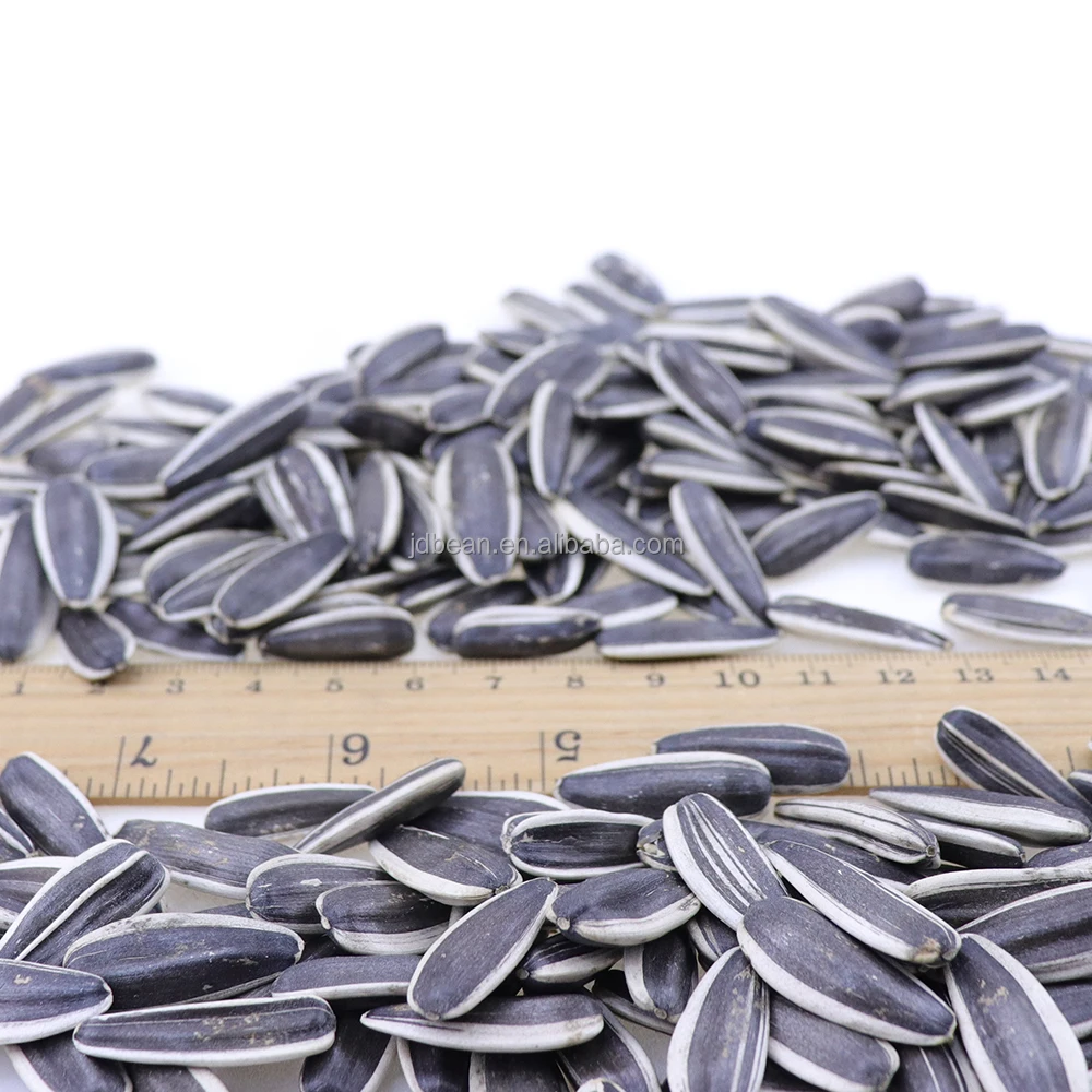 European Quality Sunflower Seeds 1 Ton Price Hybrid Sunflower Seeds For