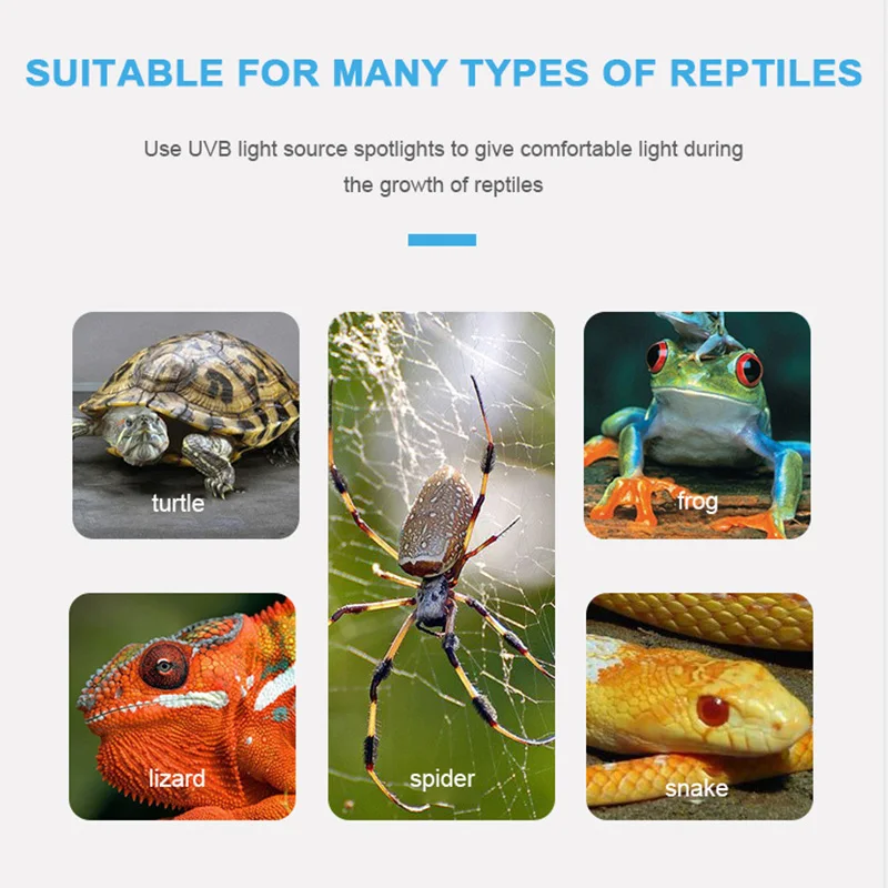 Lizard Plug ZOOBAM Reptiles Heat Lamp 110V US Plug with 360 Degree Rotatable ...