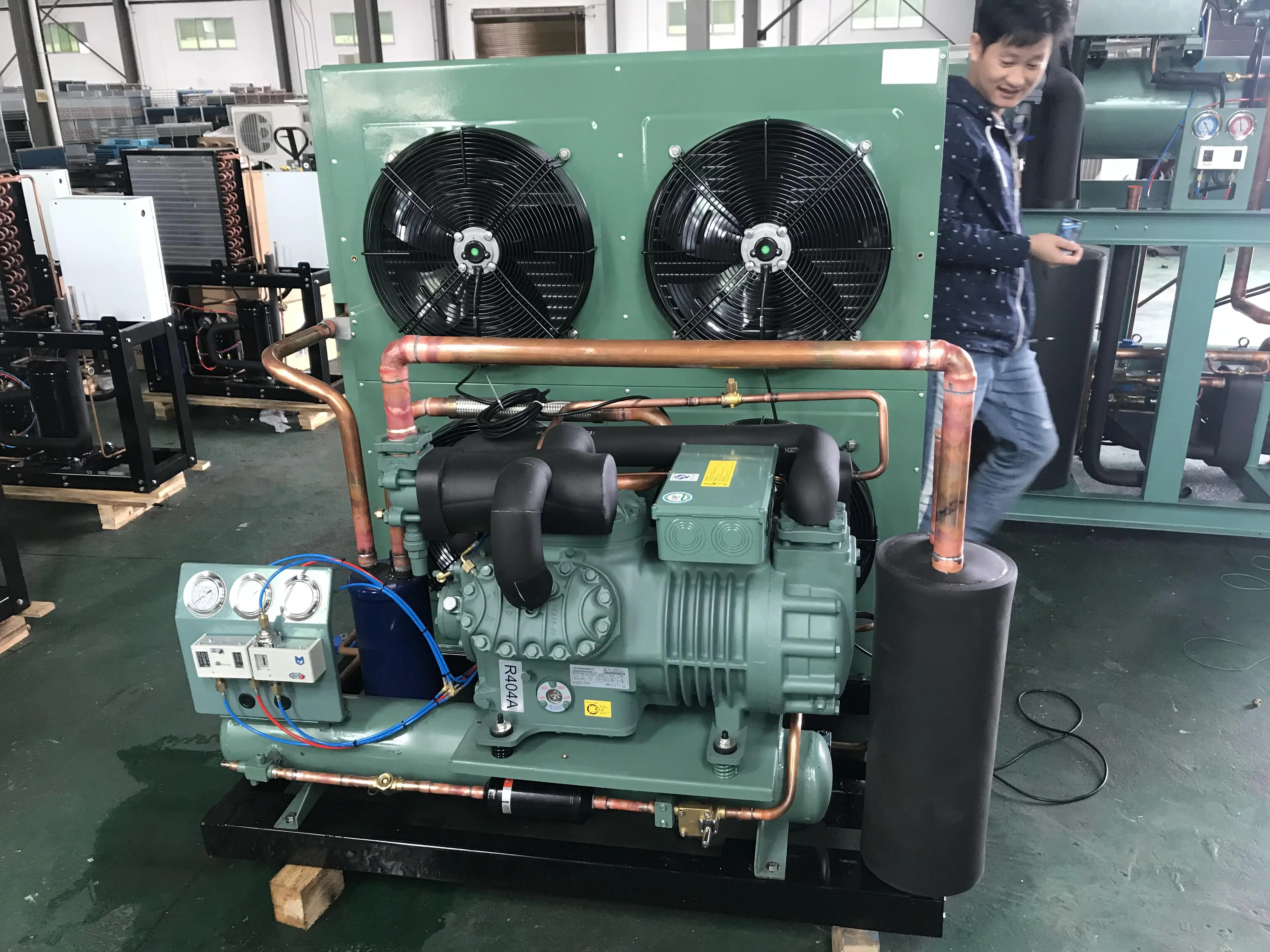 德国压缩机15hp高温蔬菜水果储存冷冻室风冷制冷冷凝机组