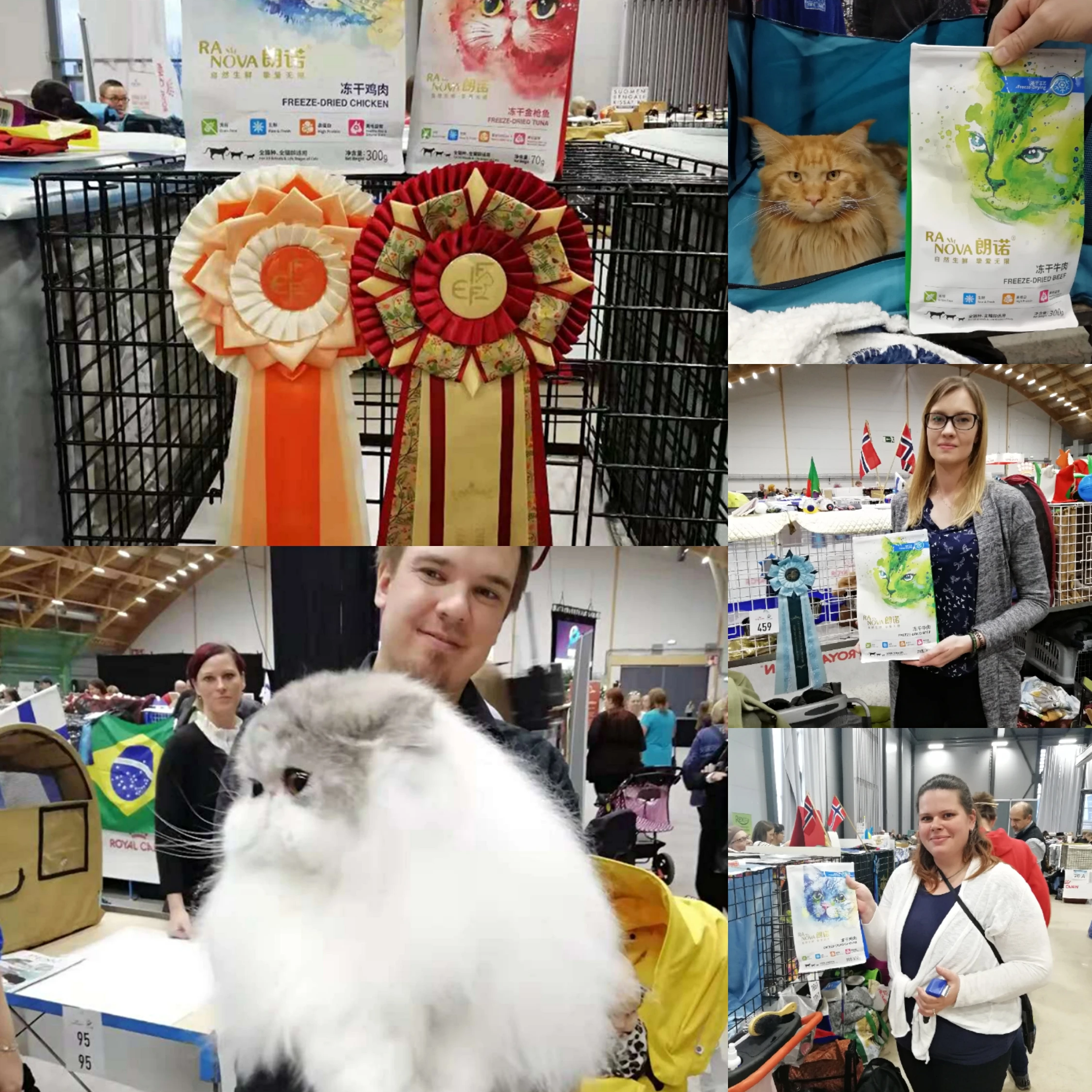 catshow (7)