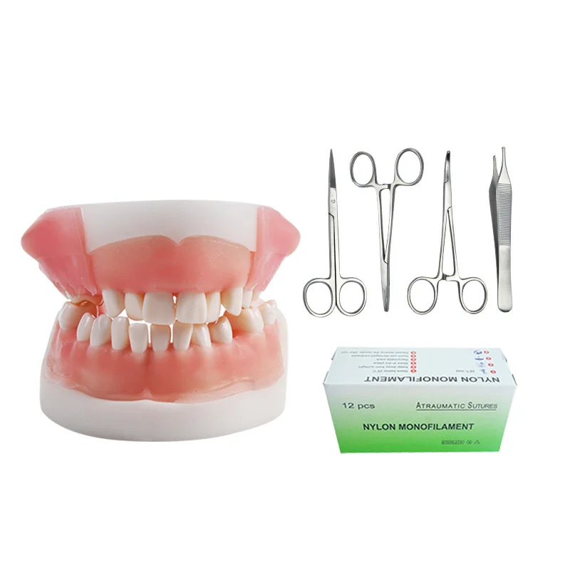 Multifunctional Oral Suture Model Suture Set Teaching Practice Oral