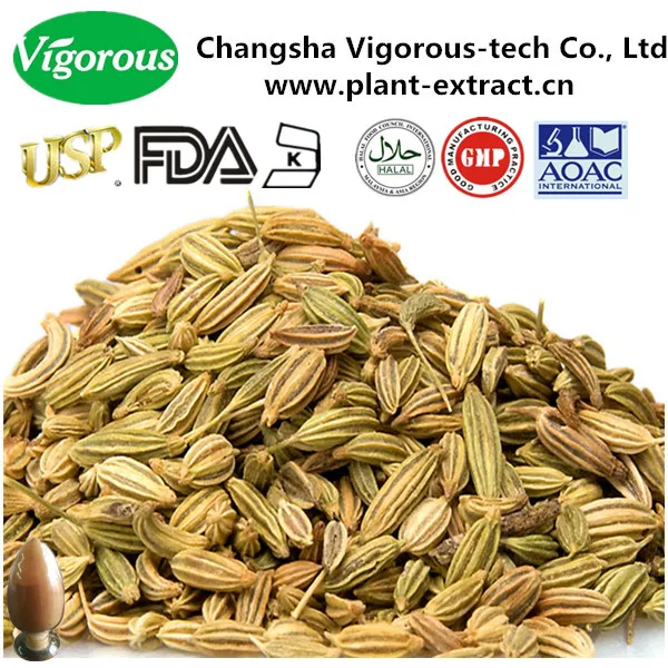 Pure Natural Foeniculum Vulgare Extractfennel Seed Extract Powder Buy Fennel Seed Extract 6507