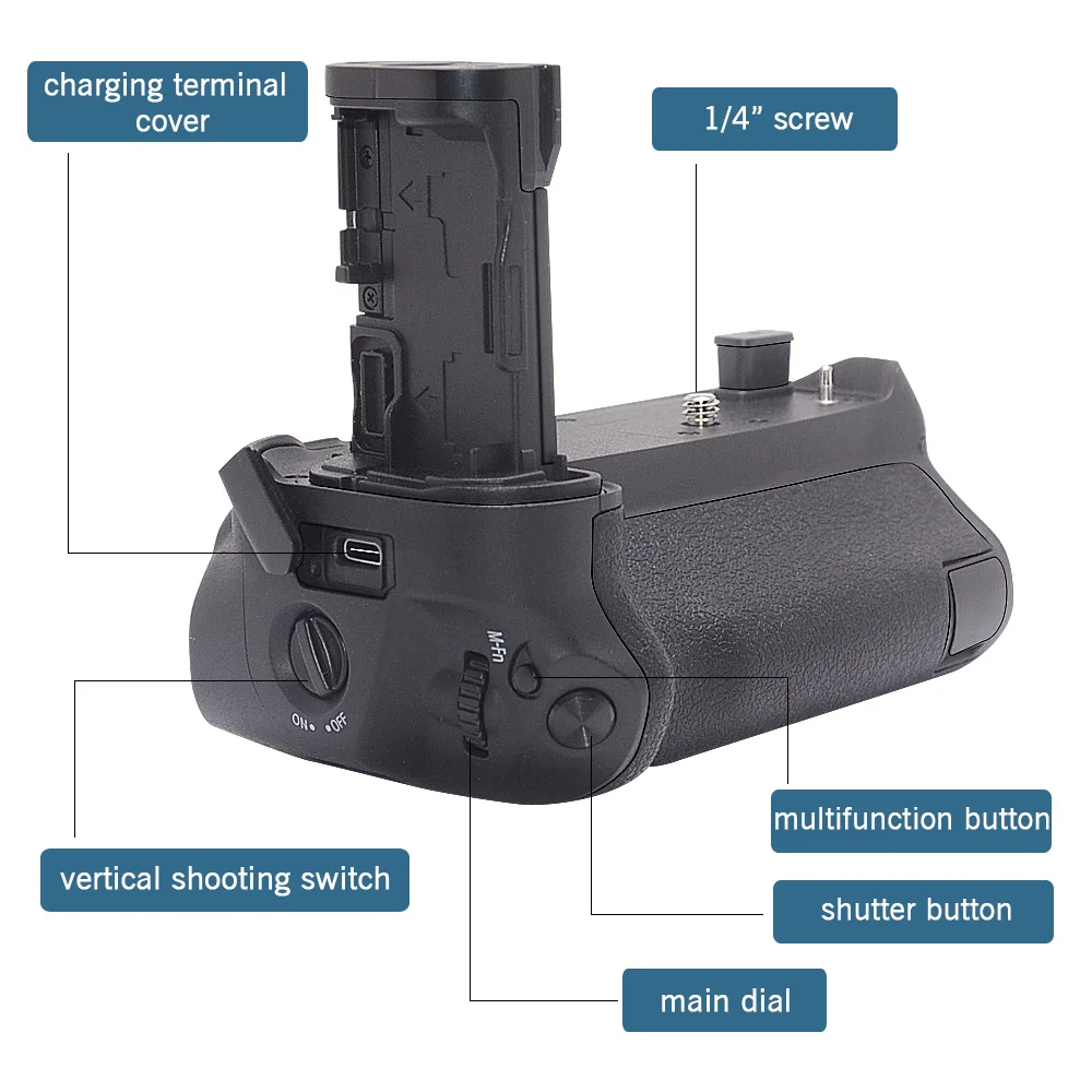 EOS R -6.jpg