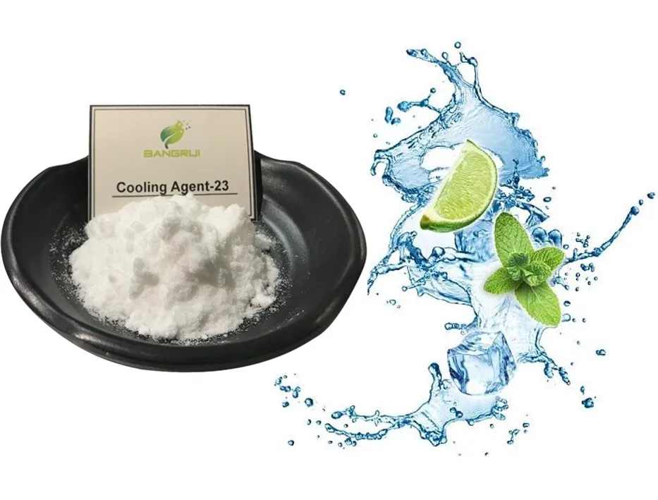 Cooling ointment Long lasting cooling mint agent ws-23 for wet tissue