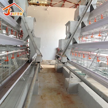 Hot Sale Automatic Design Chicken Cage Galvanized Low 