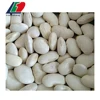 Large White Kidney Beans Ukraine, New White Kidney Bean
