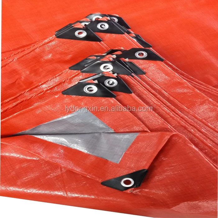 DX Silver Orange  (3).jpg