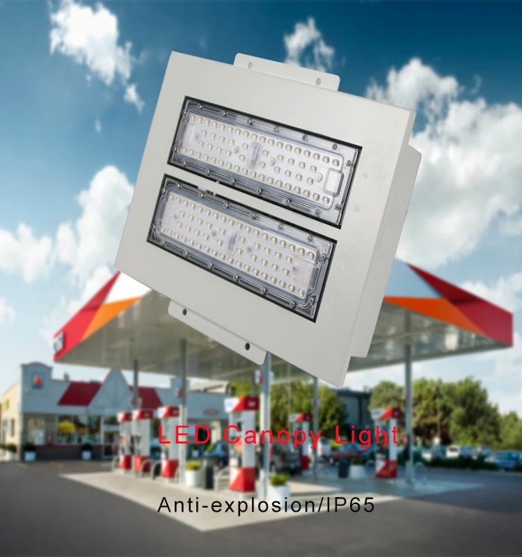 LED CANOPY LIGHT.jpg