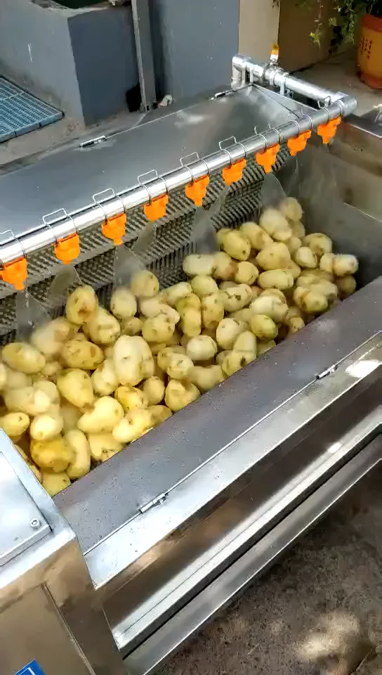 squash pumpkin radish carrot beetroot vegetable commercial