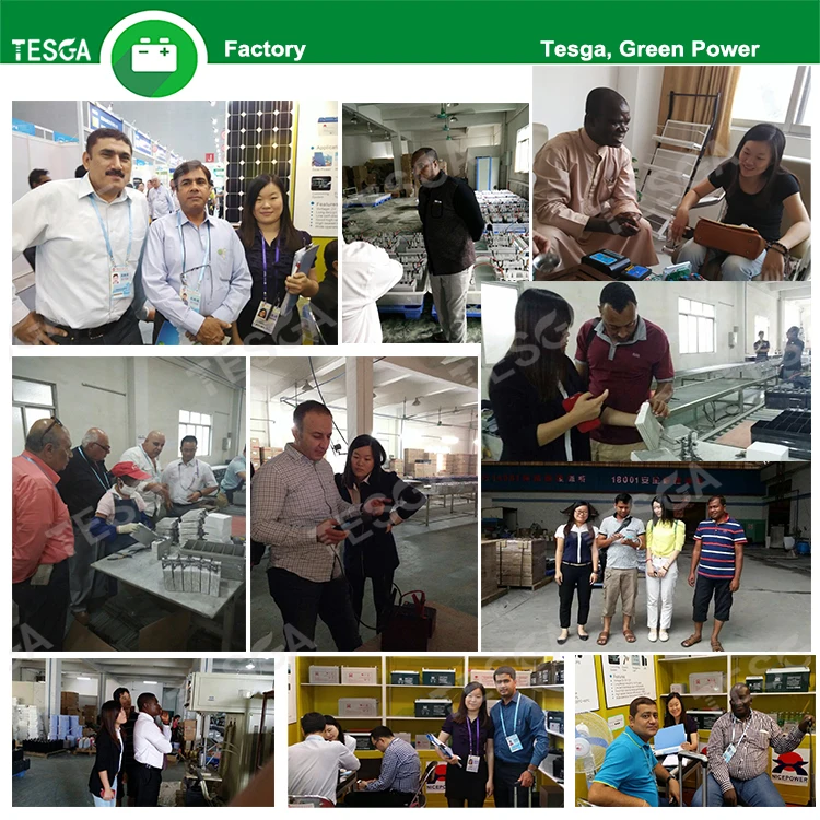 tesga power clients.jpg