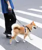 Free Sample No MOQ Patents Possessed Auto Safety Retracting Pet Lead Retractable Dog Leash