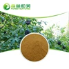Pure raw material manyprickle acanto-panax root powder free sample with high sales volume