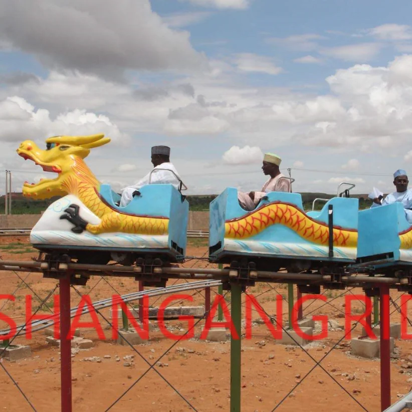 
China manufacturers good quality new big roller coaster amusement park rides 