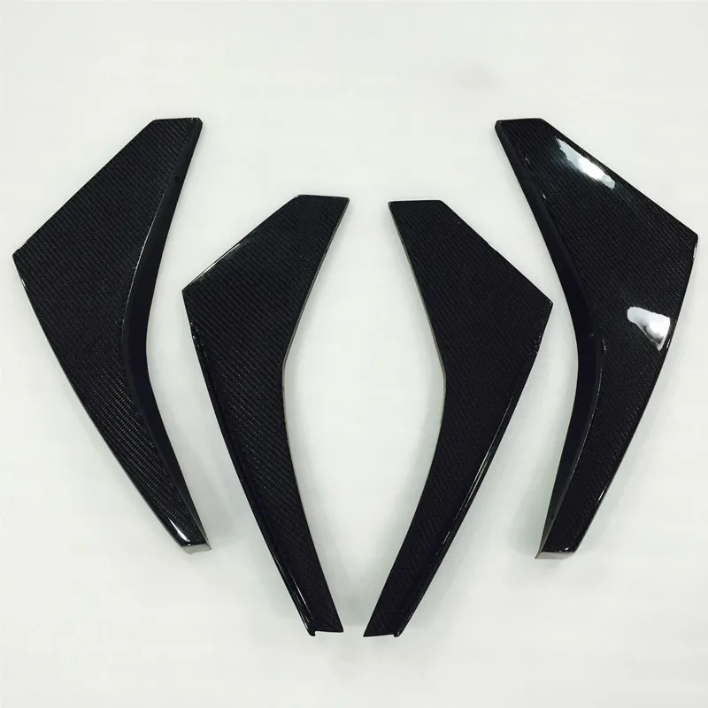 r35canardscf (4)_.jpg