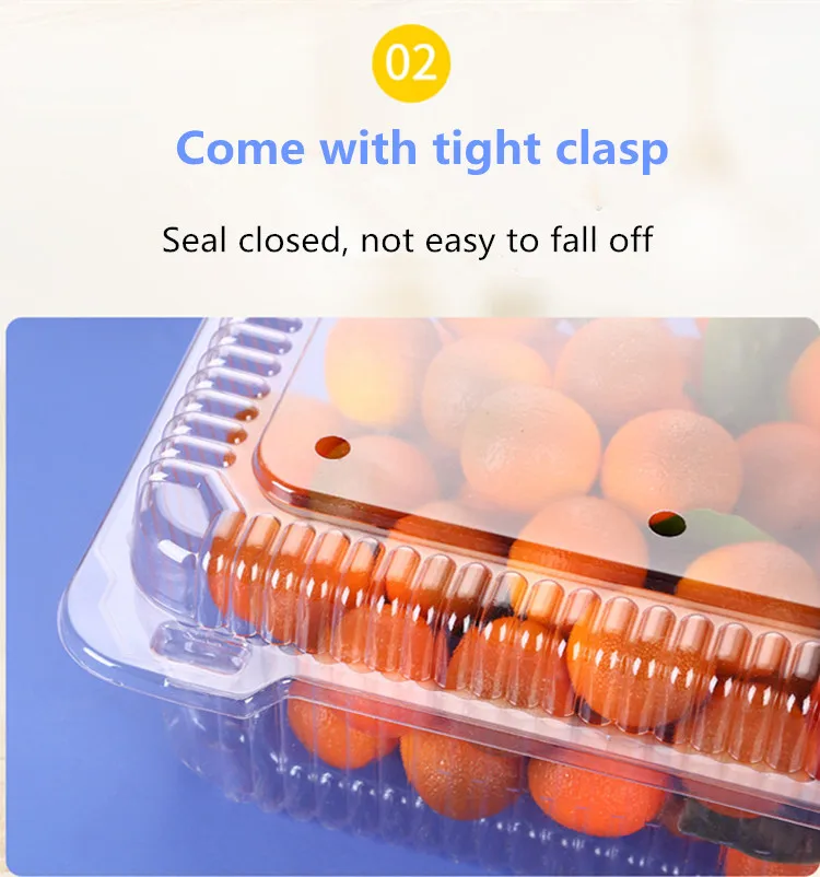 Clamshell Containers (13).jpg