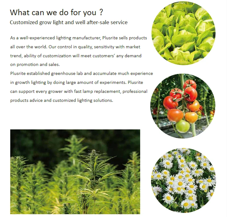 what can we do for you.png