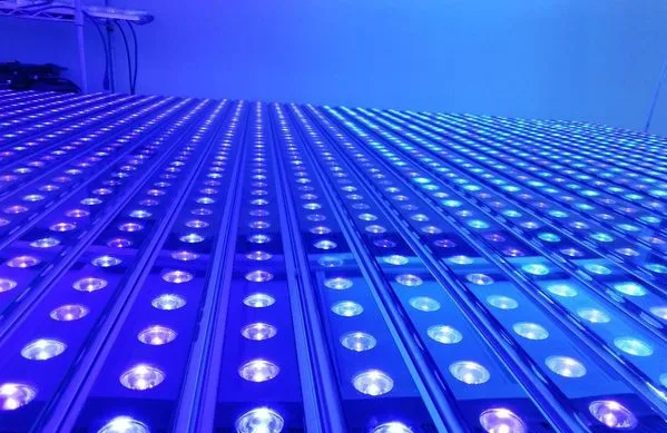 Herifi Black Glass Dual Chip 60cm 90cm 120cm 150cm IP65 Marine Croal Bar Lighting LED Light Fish Tank Reef Aquarium Lights