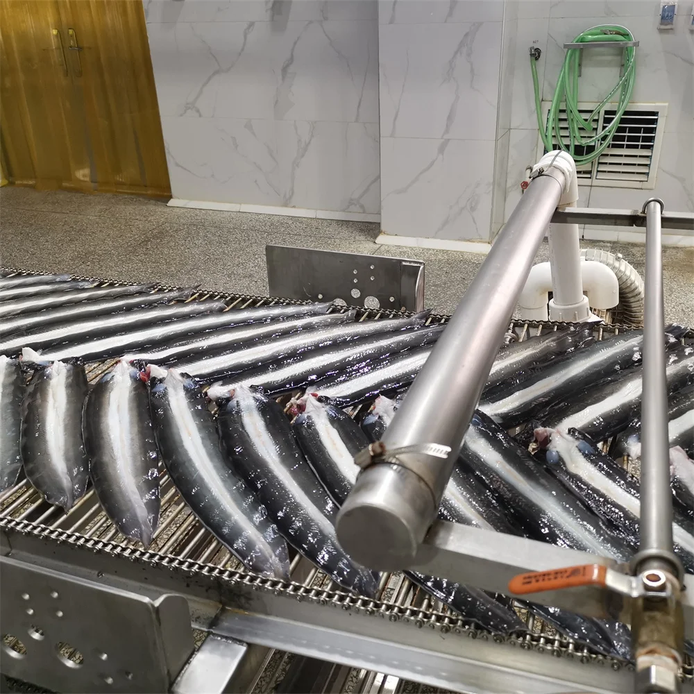 Factory Customized All Size Roasted Unagi Eel Without Vacuum Packed