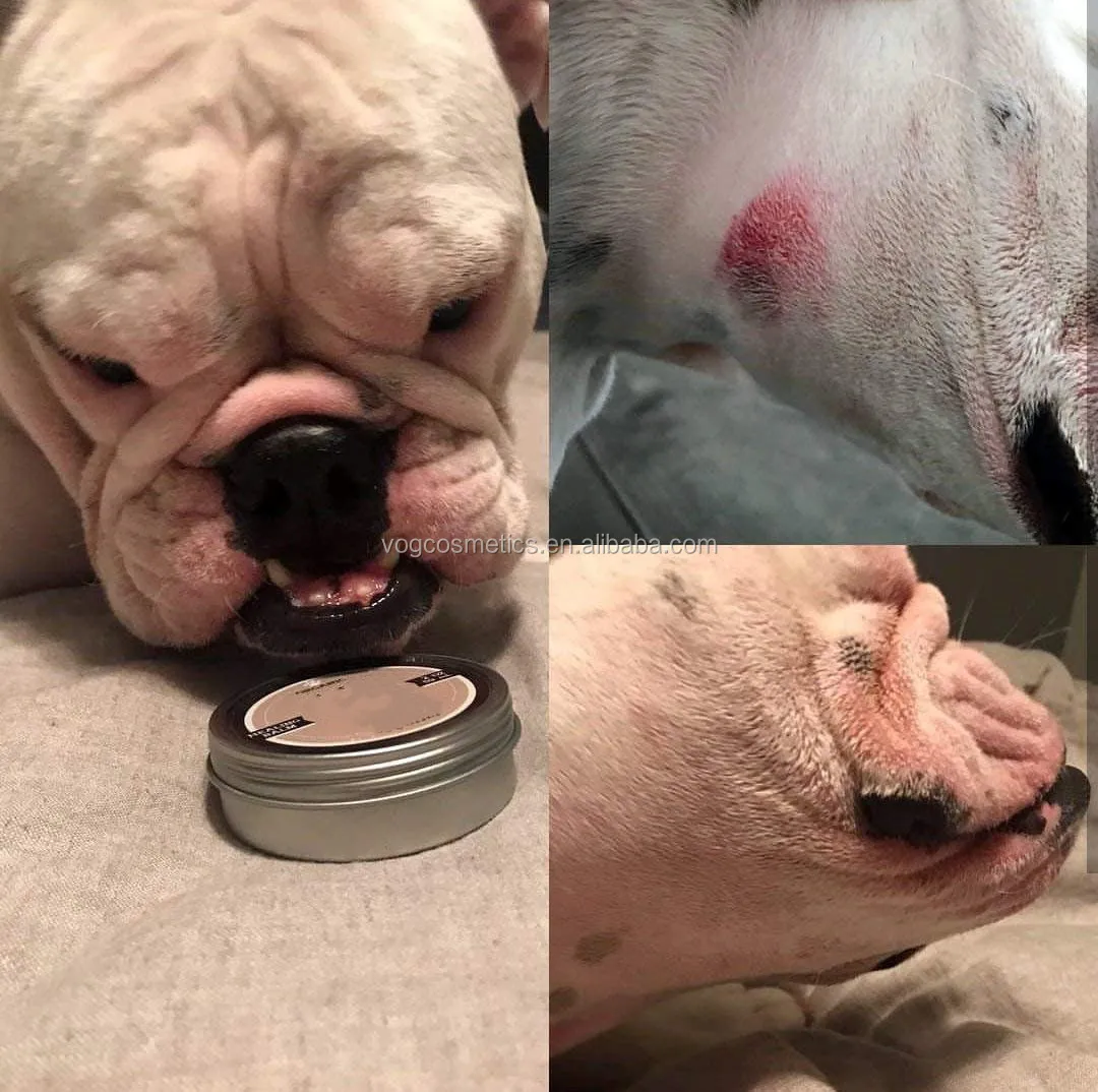 Oem Odmプライベートラベルナチュラルペット足プロテクター保湿スムージングホットスポット 創傷治療犬の治癒バーム Buy 足バーム 足バーム 犬 ペット健康ケア Product On Alibaba Com