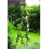 /product-detail/new-design-garden-planter-climbing-cage-plant-sticks-62207801000.html