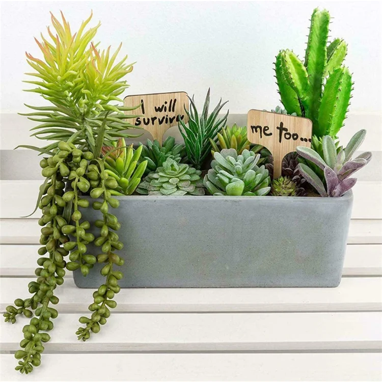 100pcs Renewable Natural Bamboo Plant Labels Small Size Blank Wooden