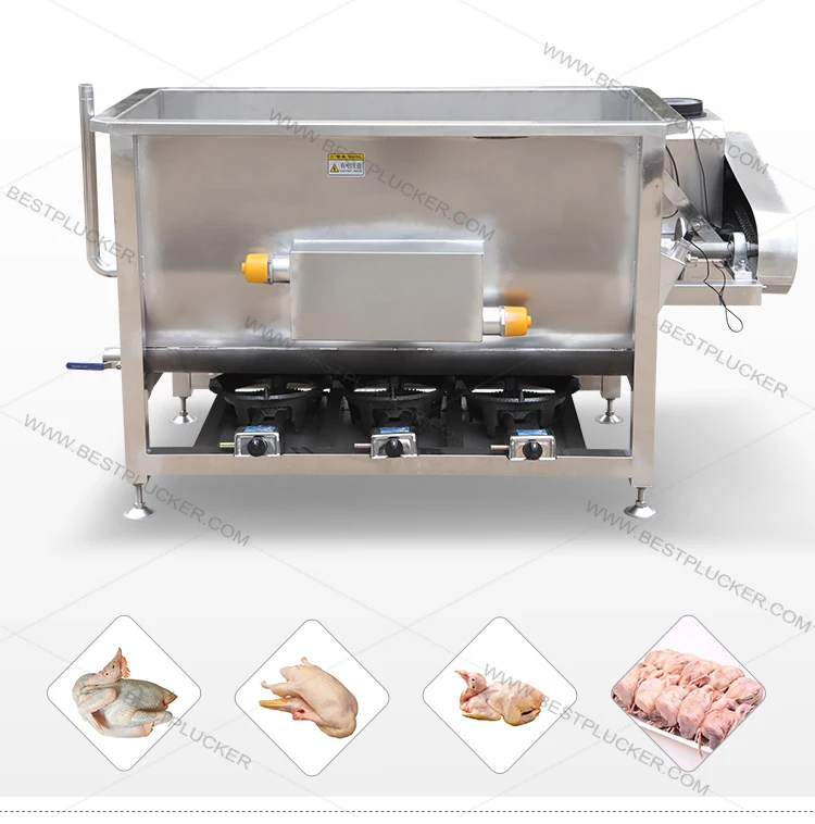 Professional Chicken Scalder Semi Automatic Poultry Scalding Plucking ...