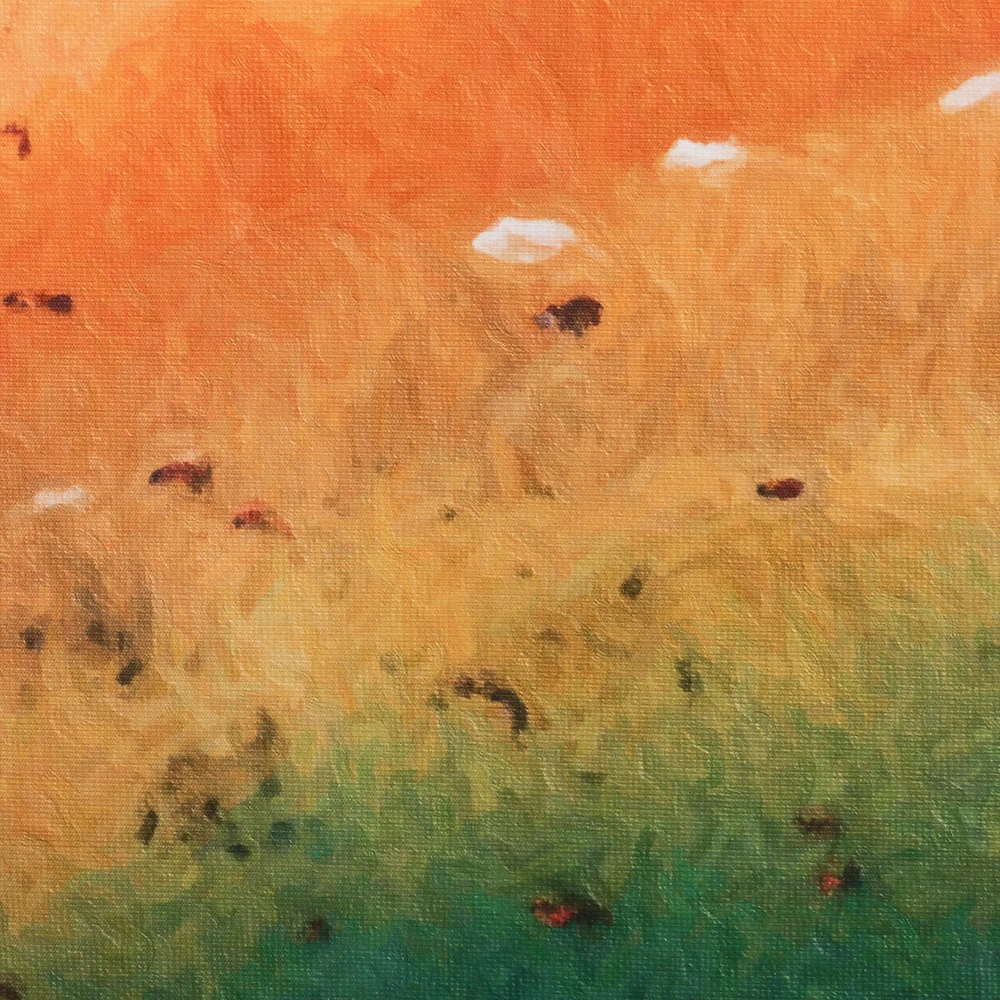 Z_0357_9.jpg