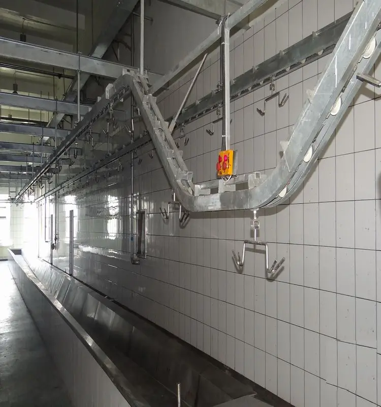 Modern high quality halal goat slaughtering equipment complete set of goat slaughterhouse