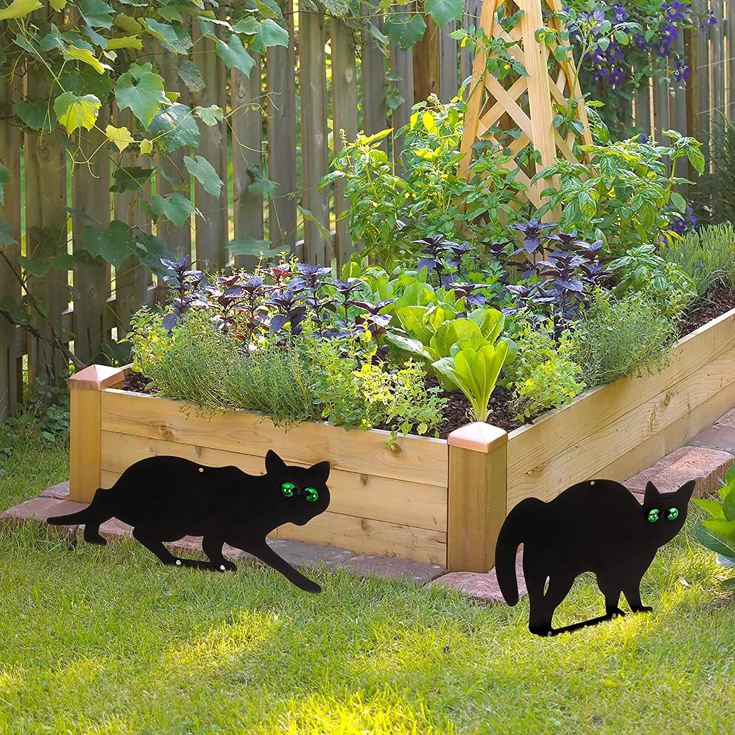 Scare Cats With Reflective Eyes Cat Repellent Garden And Yard