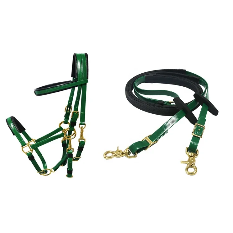 Horse Riding Equipment Pvc Endurance Bridle And Rein Buy Endurance