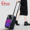 /product-detail/portable-trolley-dj-wireless-bluetooth-speaker-62299452203.html