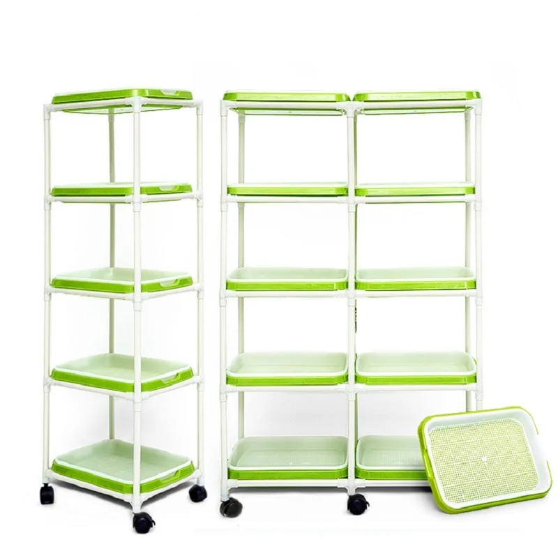 hydroponic seedling.jpg