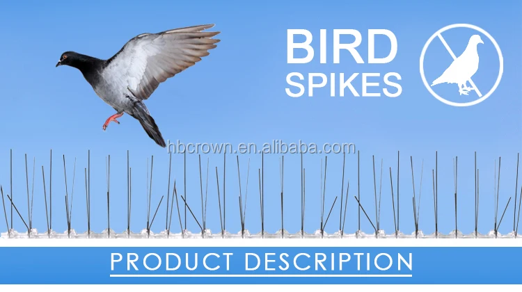 bird spikes