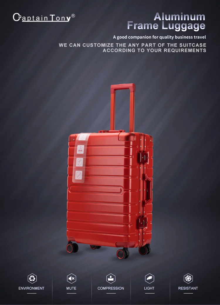 cabin luggage bag price