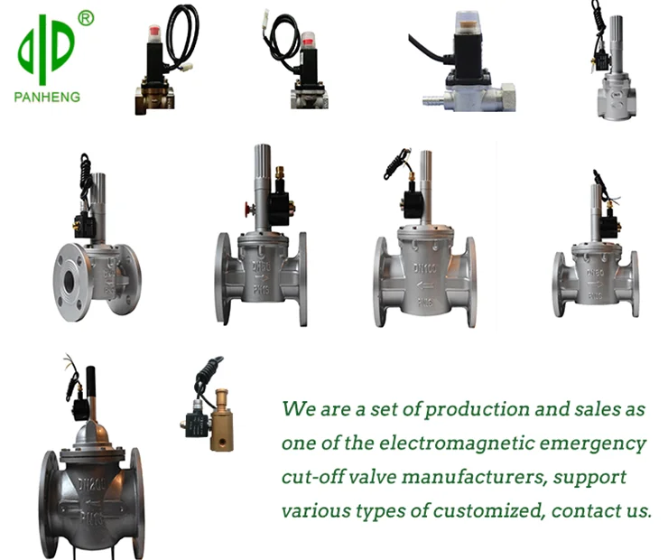 Low Price 220v Natural Gas Detector With Valve Cut Off Gas Leaking Coal