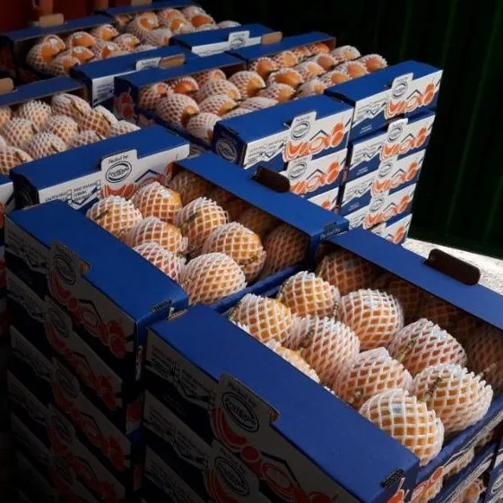 quality sweet fresh granadilla golden passion fruit in bulk for