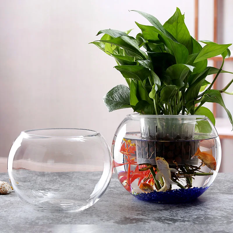Glass Flower Pot Aquaponics Fish Tank Aquarium - Buy Aquaponics Fish ...